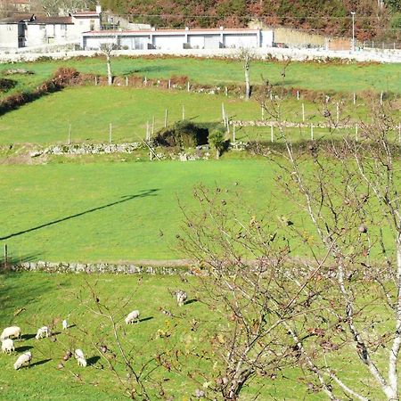 Campo Seco Villa Vieira do Minho Exteriör bild